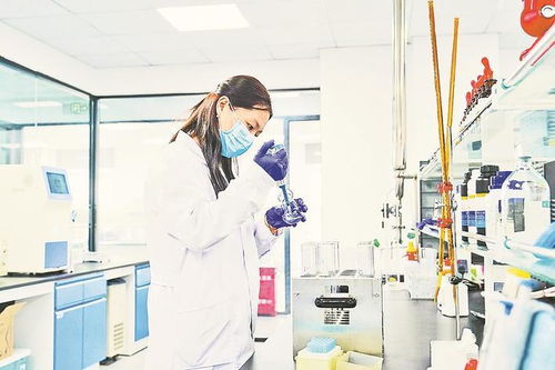 石家莊細胞工廠生產忙碌，鳳凰網河北報道其網絡文化經營新動向